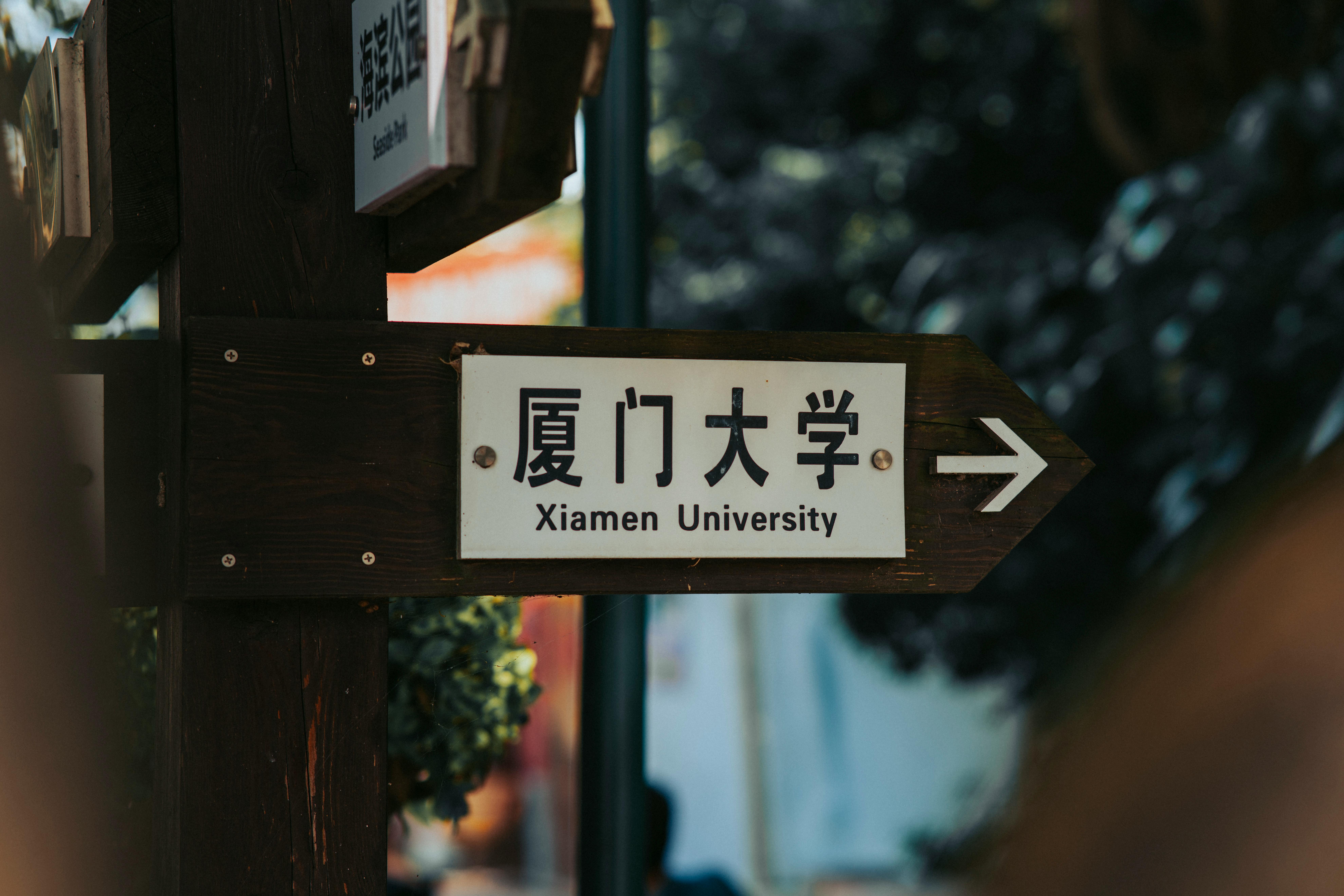 How to Read QS and THE University Rankings in 2027 Without Misleading Yourself